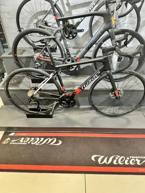 Wilier Garda Disc 105DDI2 RS171 Gr. M, Ansicht 2