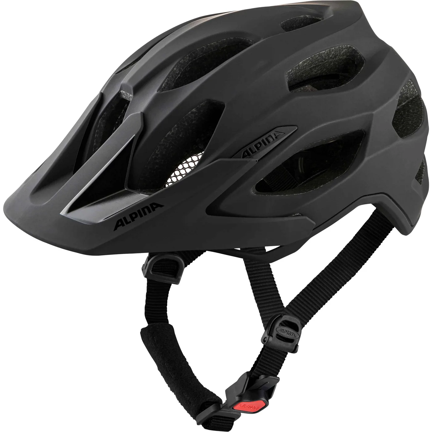 Alpina - CARAPAX 2.0 bei Mr. Bike Lichtenfels
