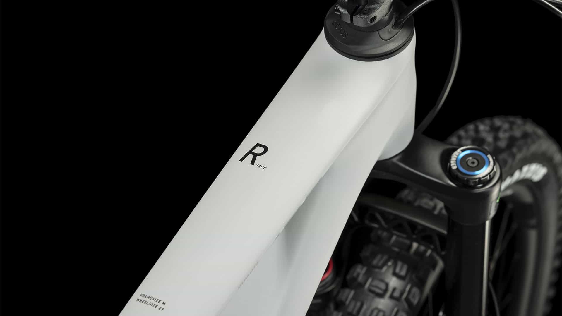 Cube Stereo ONE55 C:62 Race 29 lightgrey´n´grey